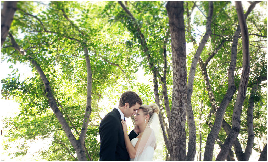 Bride and Groom Photos