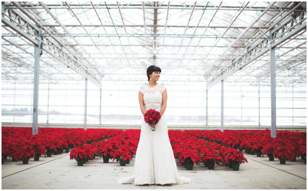 Red Poinsettias Bridal Photo