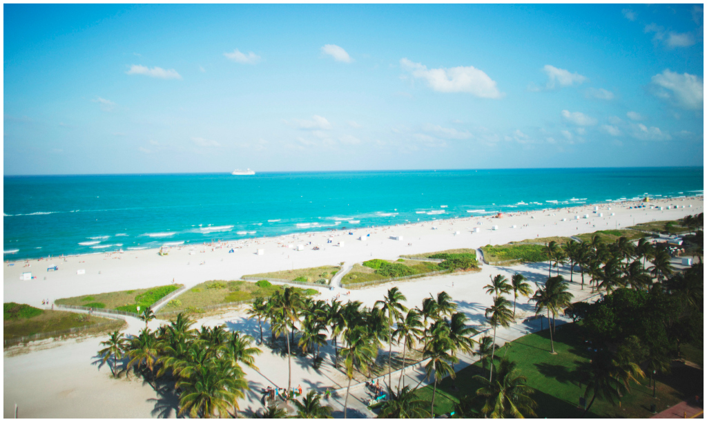 South Beach Wedding