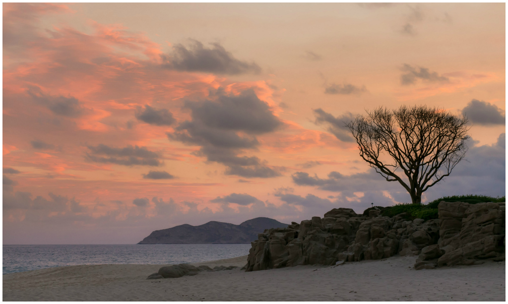 Los Cabos Mexico Wedding Planner