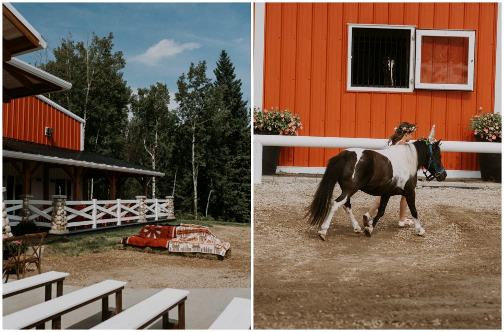 Rural Wedding Details, Unicorn Wedding Pony