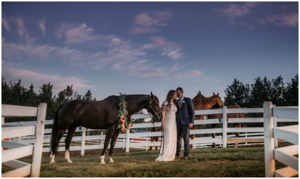 Rural Alberta Wedding Planner, Canadian Horse Farm Wedding