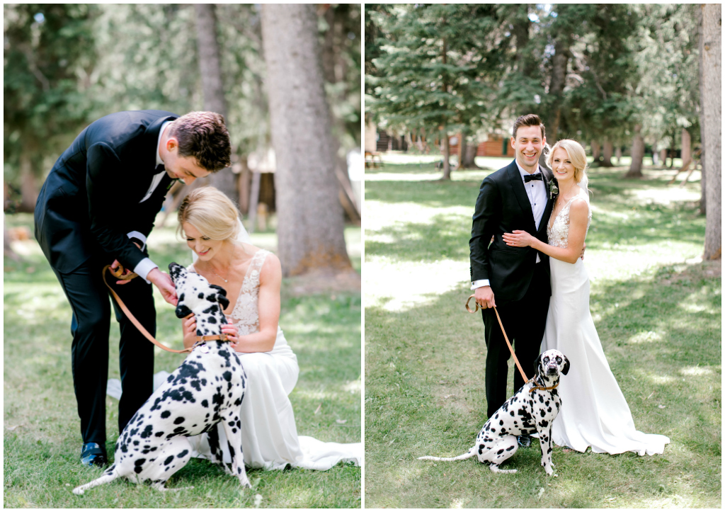 Bride and Groom Dalmatian Photo