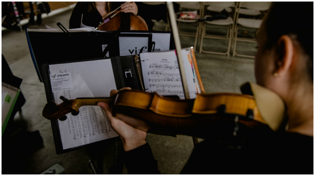 Edmonton String Quartet Wedding Ceremony Musicians