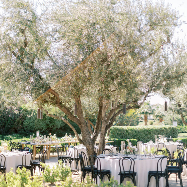 Toscana Country Club Wedding Palm Springs