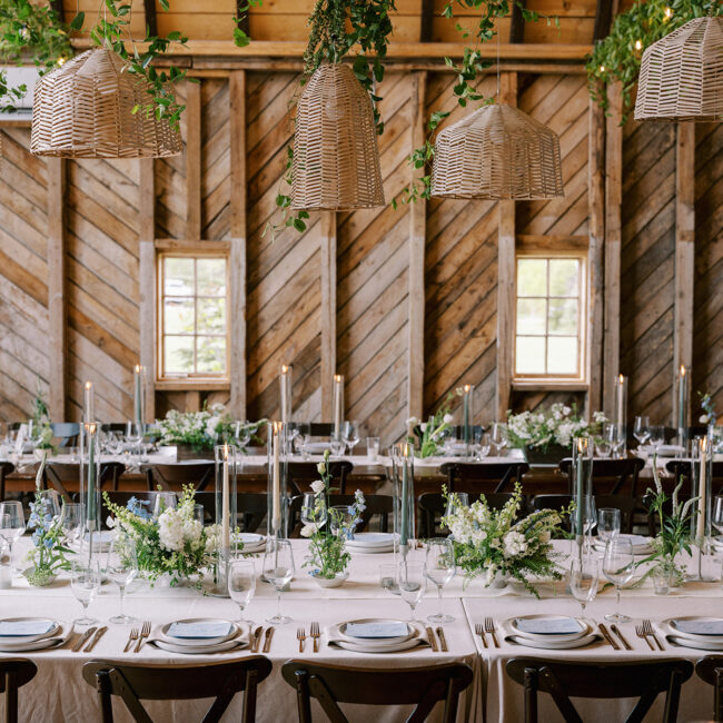 Greenery Ceiling installation