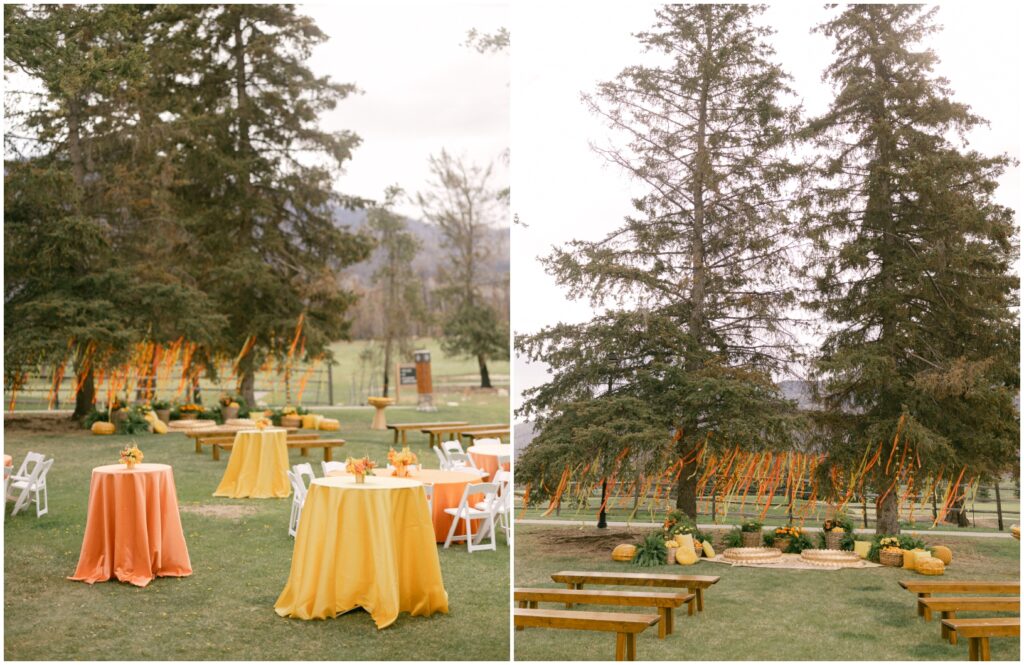outdoor Haldi inspiration